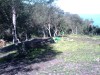 IMAG0017.JPG