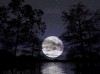 moon.jpg