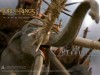 creatures_mumakil_1024.jpg