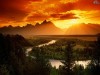 nature_440.jpg
